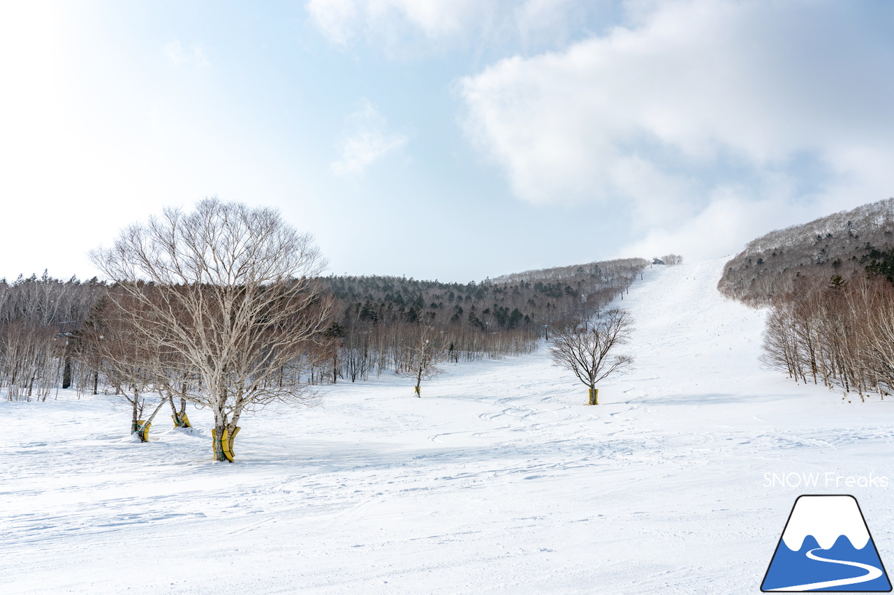 十勝サホロリゾート｜あの記録的な大雪から１週間…。ゲレンデのコンディションは、この上ないほど良好です(^^)v